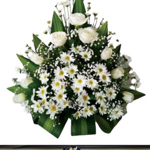 Serenidad Blanca
